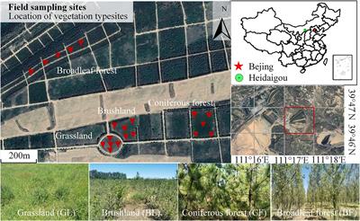 Response of Soil Microbial Community to Vegetation Reconstruction Modes in Mining Areas of the Loess Plateau, China